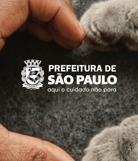 Bora de Trem